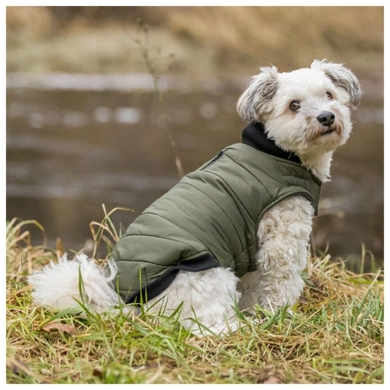 Capa "Arlay" Para Cães - Verde Azeitona