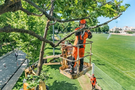 Husqvarna Podadora T525