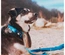Max & Molly - Trela Multi "Matrix Sky Blue" - Azul