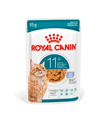 Royal Canin Gato Ageing + 11 Jelly (12*0,085kg)