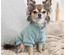 Sweatshirt "Littleton" Para Cães