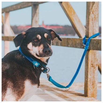 Max & Molly - Trela Multi "Matrix Sky Blue" - Azul