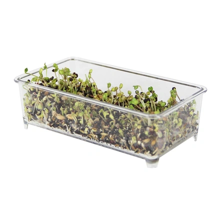 Comedouro Retangular Para Germinado