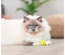 Satélites Em Plástico Para Gatos (4 Unidades)