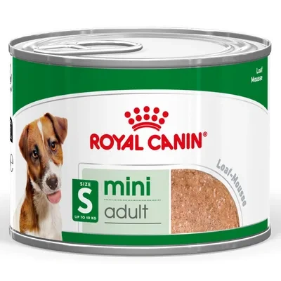 Royal Canin Cão SHN MINI ADULT CIL 12X195G