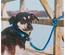 Max & Molly - Trela Multi "Matrix Sky Blue" - Azul