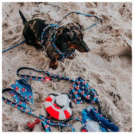 Max & Molly - Trela "Frenzy The Shark"