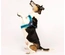 Max & Molly - Peitoral Q-Fit "Matrix Sky Blue" - Azul