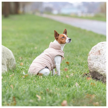 Capa "Lesmont" Para Cães - Blush