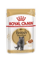 Royal Canin Gato British Shorthair 12*0,085kg