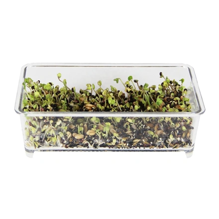 Comedouro Retangular Para Germinado