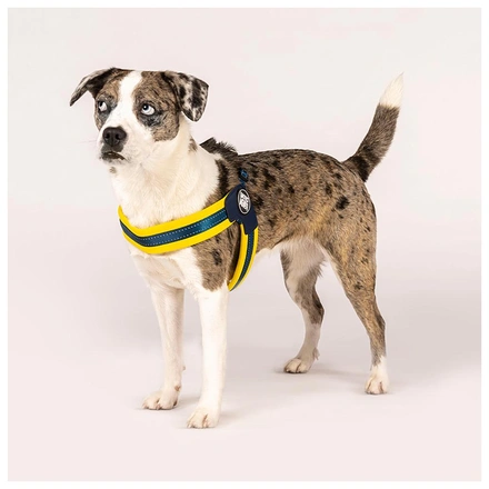 Max & Molly - Peitoral Q-Fit "Matrix Yellow" - Amarelo