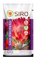 Siro Proteas - 20Lts