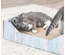 Cama De Arranhar Em Cartão Com Catnip
