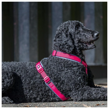Peitoral Trekking "Premium" - Fuchsia