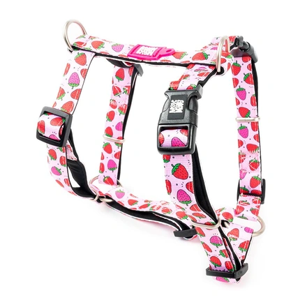 Max & Molly - Peitoral "Strawberry Dream"