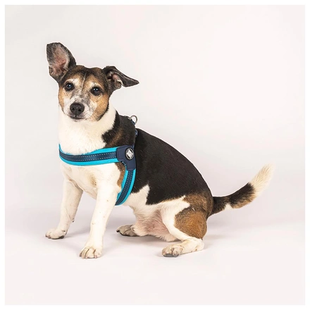 Max & Molly - Peitoral Q-Fit "Matrix Sky Blue" - Azul