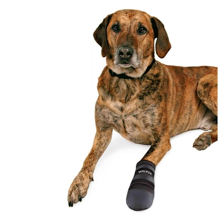 Walker - Botas Em Neoprene Para Cães