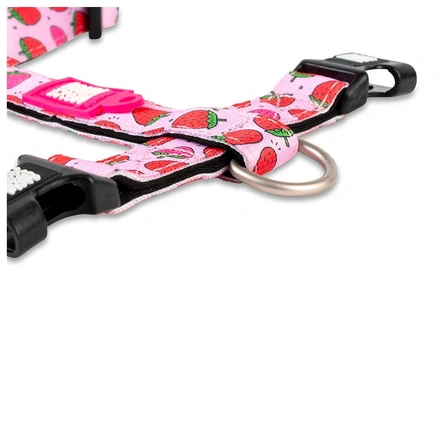 Max & Molly - Peitoral "Strawberry Dream"