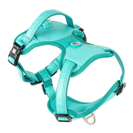 Max & Molly - Peitoral Sport "Matrix 2.0" - Turquesa