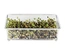 Comedouro Retangular Para Germinado