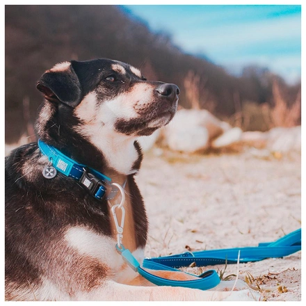 Max & Molly - Trela Multi "Matrix Sky Blue" - Azul