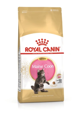 Royal Canin Gato FBN KITTEN MAINECOON