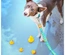 Max & Molly - Trela "Ducklings"