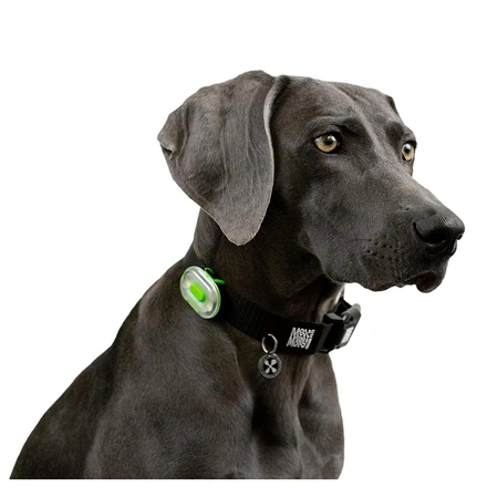 Max & Molly - Matrix Ultra Led - Verde