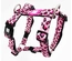 Max & Molly - Peitoral "Leopard Pink"