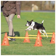 Conjunto De Obstáculos Para Agility