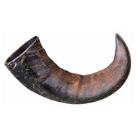 Corno De Búfalo Para Mascar