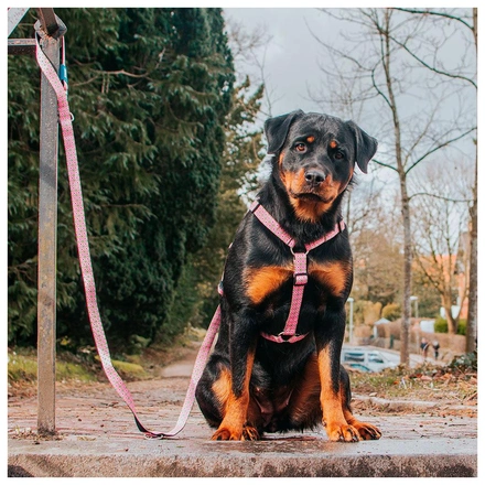 Max & Molly - Peitoral "Retro Pink"