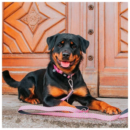 Max & Molly - Trela Multi "Retro Pink"