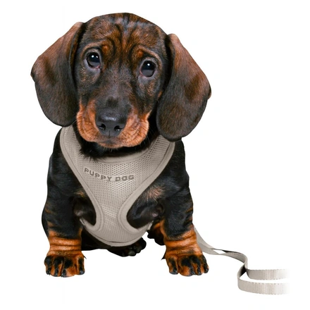 Junior - Soft Peitoral Com Trela Para Cachorro - Cinza