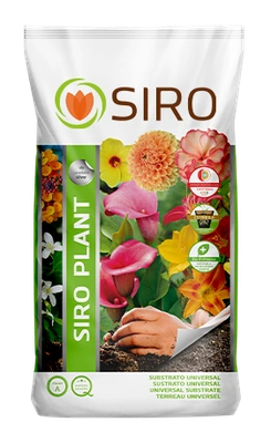 Siro Plant