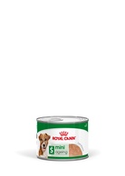 Royal Canin Cão SHN MINI AGEING CIL 12X195G