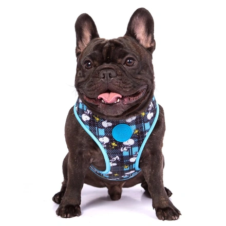 Snoopy - Colete Peitoral "Mesh" (Azul/Xadrez)