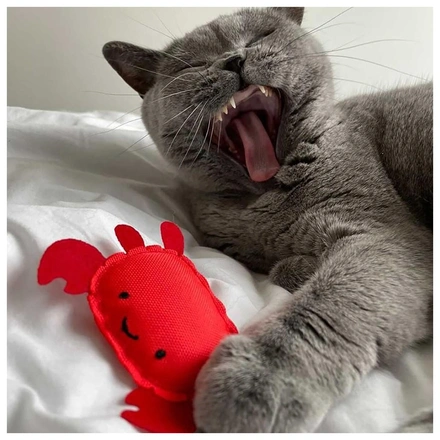 Beco Toy - Caranguejo Com Catnip