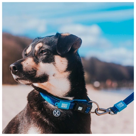 Max & Molly - Trela "Matrix Sky Blue" - Azul