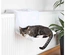 Cama Para Gatos Com Aplicação Para Radiadores