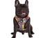 Snoopy - Colete Peitoral "Mesh" (Stripe)