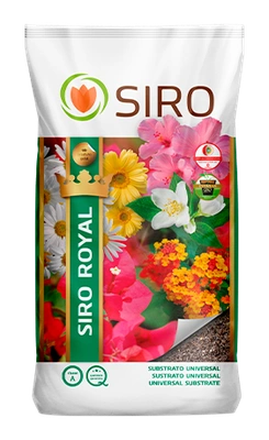Siro Royal