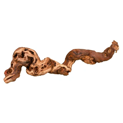 Tronco Decorativo Tratado