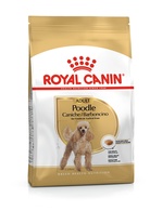 Royal Canin Cão BHN Poodle