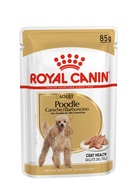 Royal Canin Cão POODLE 12X85G