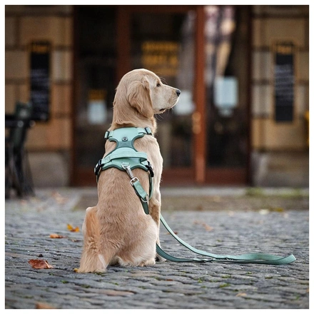 Max & Molly - Peitoral Sport "Matrix 2.0" - Sálvia