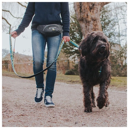 Max & Molly - Bolsa De Cintura - Cinza