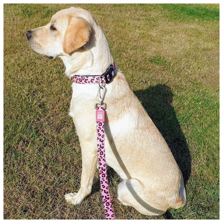 Max & Molly - Trela "Leopard Pink"