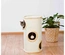 Cat Tower "Samuel" Em Sisal